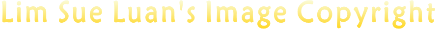 Lim Sue Luan's Image Copyright